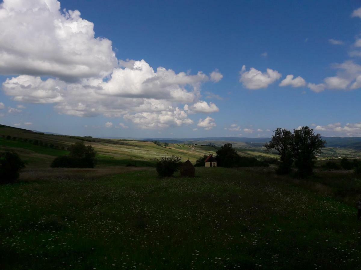 Casa Delureni エクステリア 写真